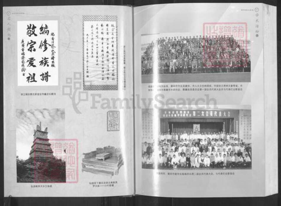 福建省莆田市仙游县枫亭镇蔡氏族谱-莆阳蔡氏宗谱.pdf电子版预览图5