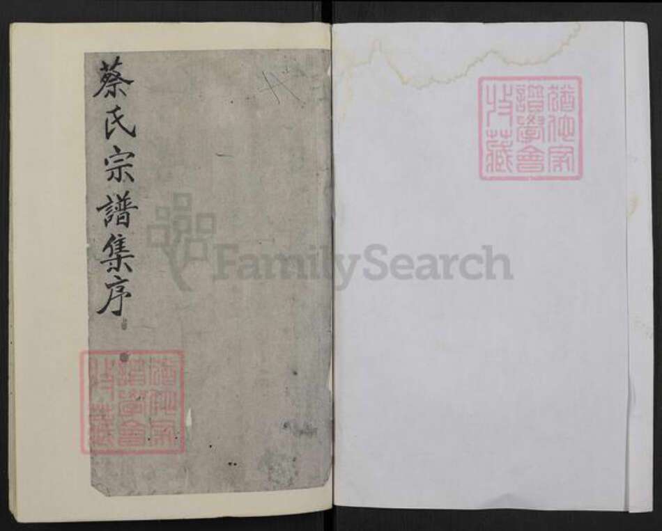 江苏省盐城市亭湖区蔡氏洛杨堂族谱-蔡氏宗谱.pdf电子版预览图1