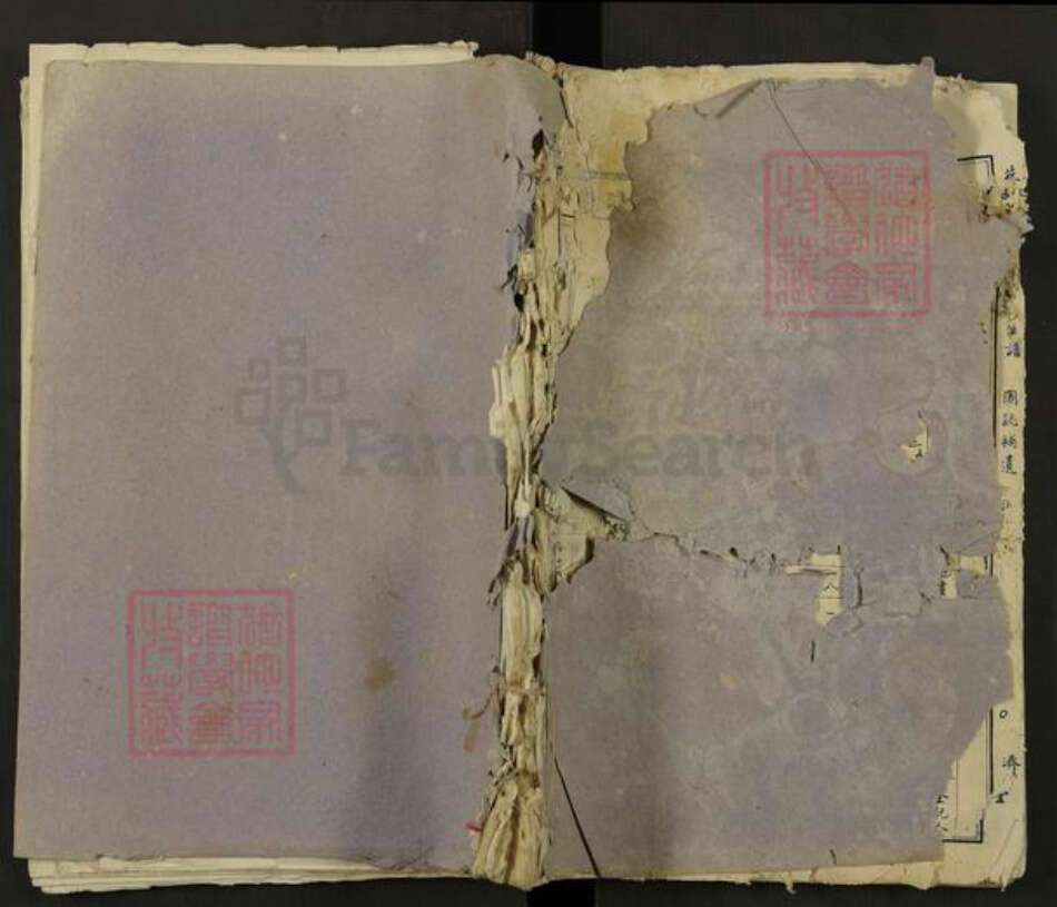 江西省吉安市万安县蔡氏济阳堂族谱-蔡氏初届联修族谱.pdf电子版缩略图