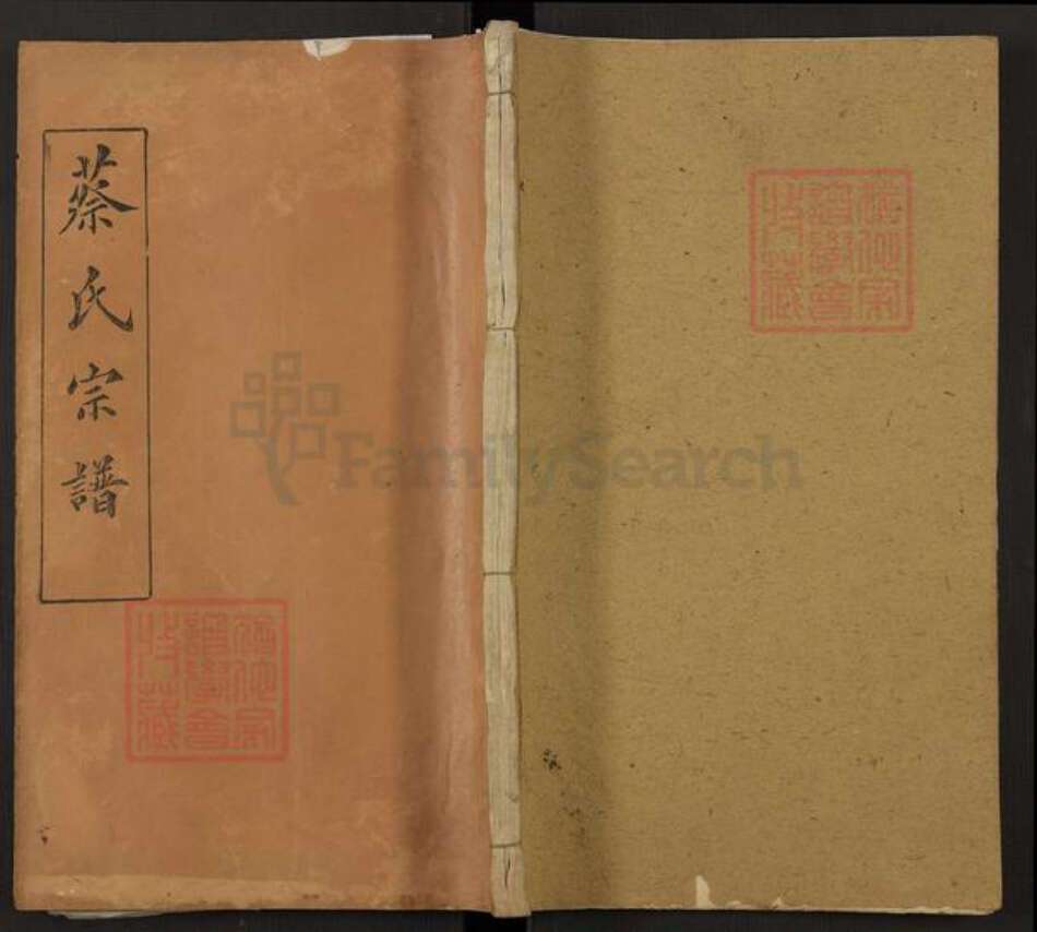 湖北省武汉市新洲区蔡氏世德堂族谱-蔡氏宗谱.pdf电子版缩略图