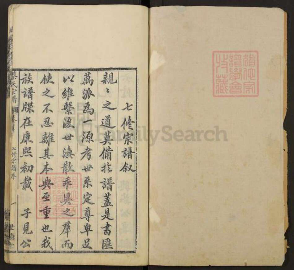 湖北省武汉市新洲区蔡氏世德堂族谱-蔡氏宗谱.pdf电子版预览图1