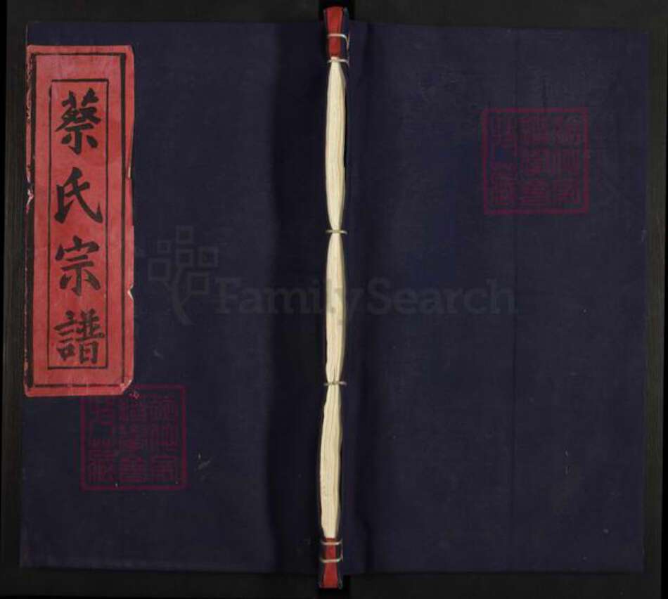 江西省宜春市丰城市石滩镇蔡氏族谱-济阳蔡氏宗谱.pdf电子版缩略图