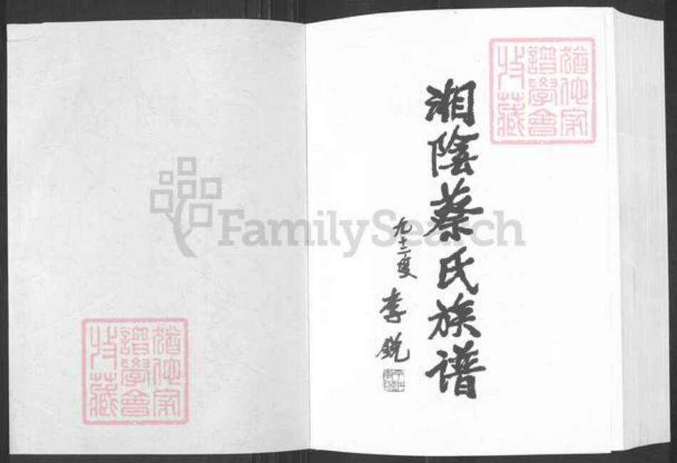 湖南省岳阳市湘阴县文星镇蔡氏洛阳堂族谱-湘阴蔡氏族谱.pdf电子版预览图1