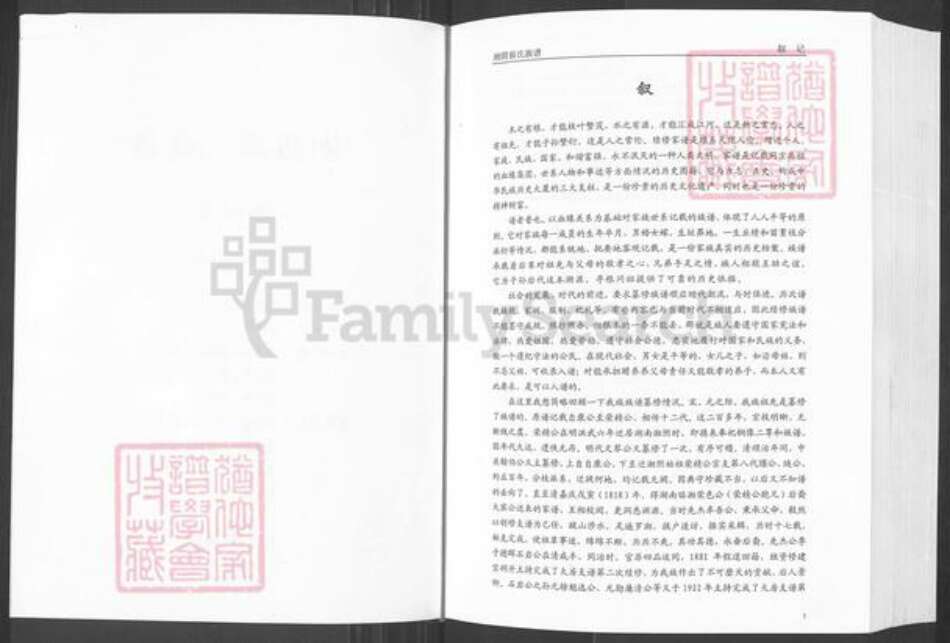 湖南省岳阳市湘阴县文星镇蔡氏洛阳堂族谱-湘阴蔡氏族谱.pdf电子版预览图3