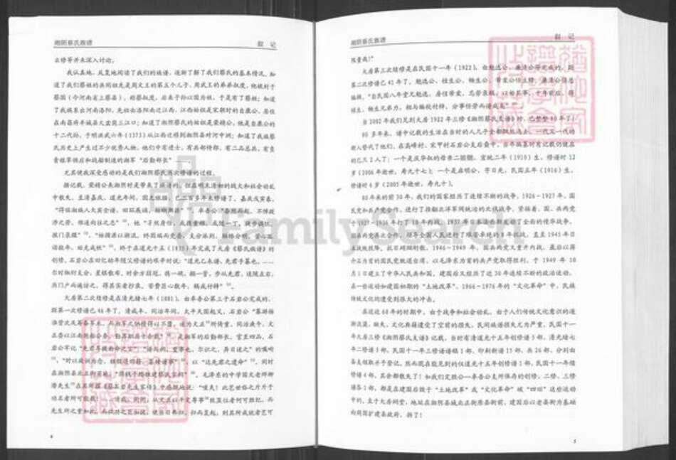 湖南省岳阳市湘阴县文星镇蔡氏洛阳堂族谱-湘阴蔡氏族谱.pdf电子版预览图5