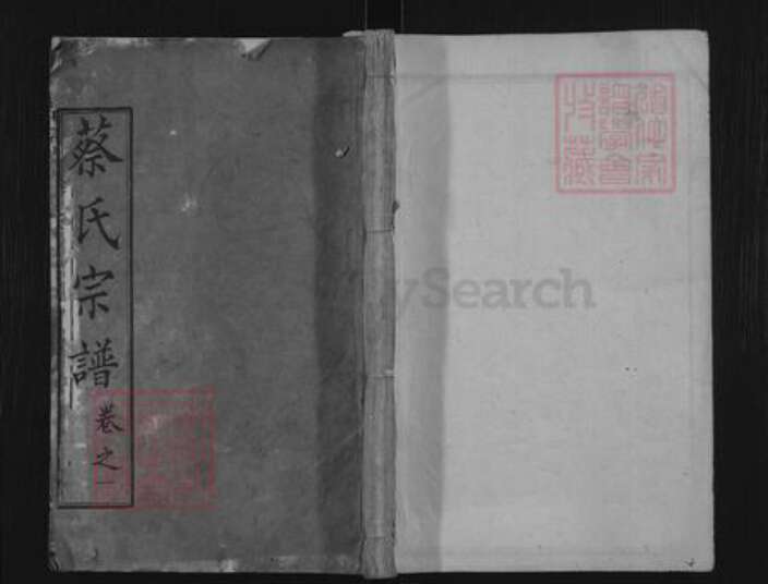 湖北省黄冈市麻城市南湖街道蔡氏九峰堂族谱-蔡氏宗谱.pdf电子版缩略图