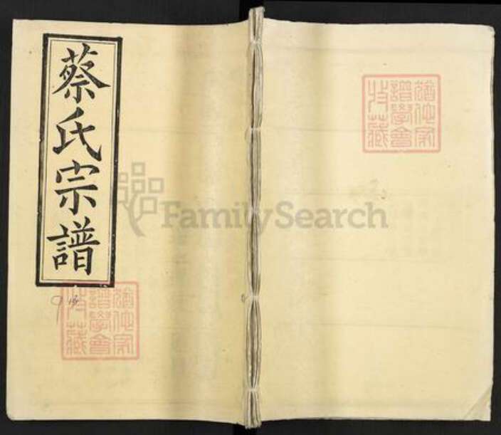 湖北省黄冈市蔡氏九贤堂族谱-蔡氏宗谱.pdf电子版缩略图