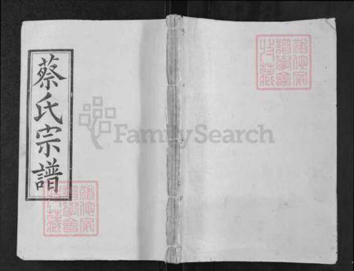 浙江省衢州柯城区蔡氏九贤堂族谱-蔡氏宗谱.pdf电子版缩略图