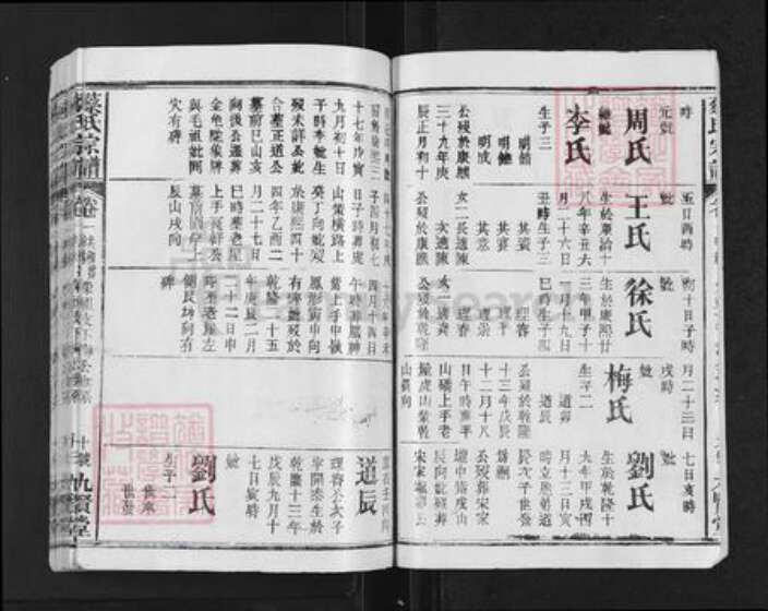 浙江省衢州柯城区蔡氏九贤堂族谱-蔡氏宗谱.pdf电子版预览图2