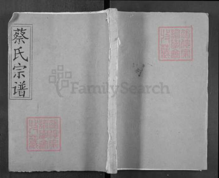 湖北省武汉市新洲区湖北省武汉市新洲区蔡氏九思堂族谱-蔡氏宗谱.pdf电子版缩略图