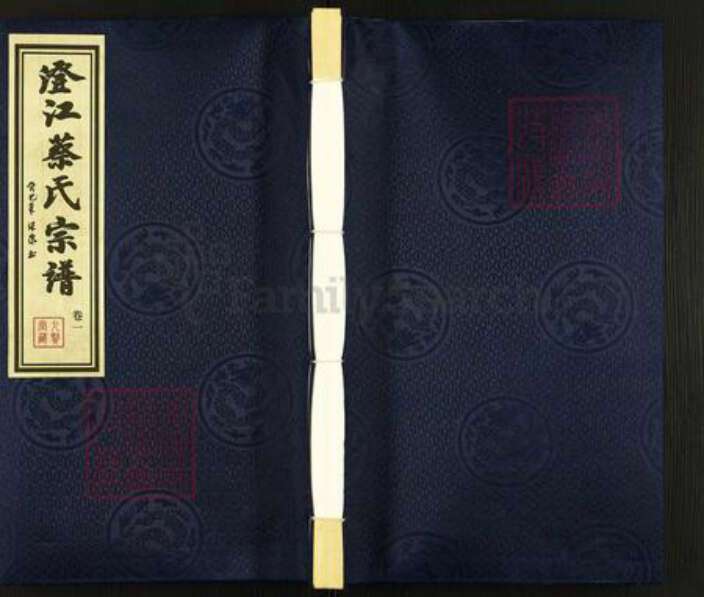 江苏省无锡市江阴市澄江蔡氏九贤堂族谱-澄江蔡氏宗谱.pdf电子版缩略图