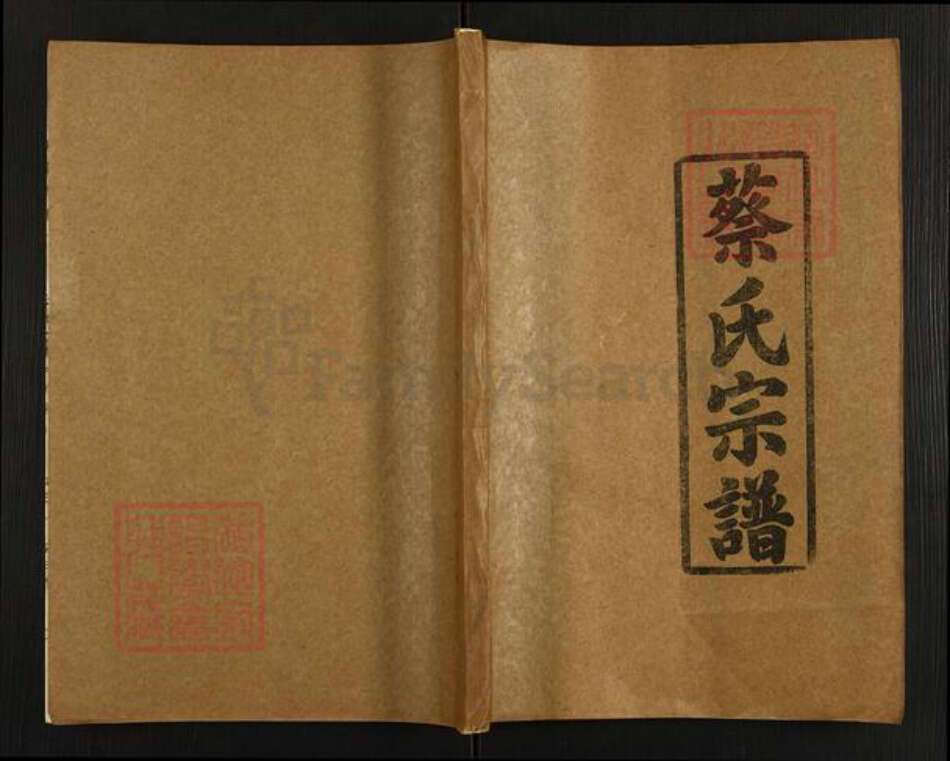 湖北省仙桃市蔡氏洛阳堂族谱-蔡氏宗谱.pdf电子版缩略图