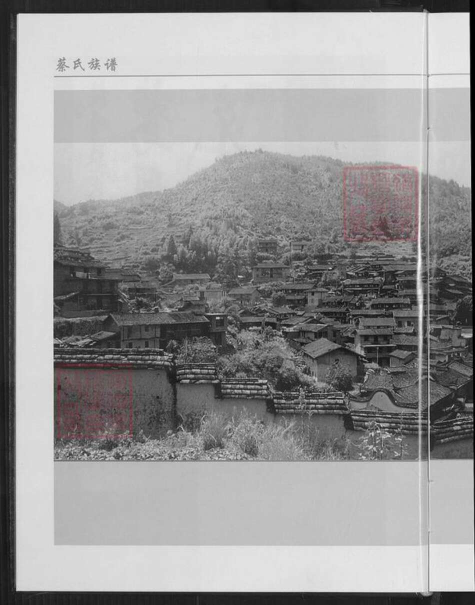 福建省三明市尤溪县洋中镇蔡氏族谱-桂峰蔡氏族谱.pdf电子版预览图4