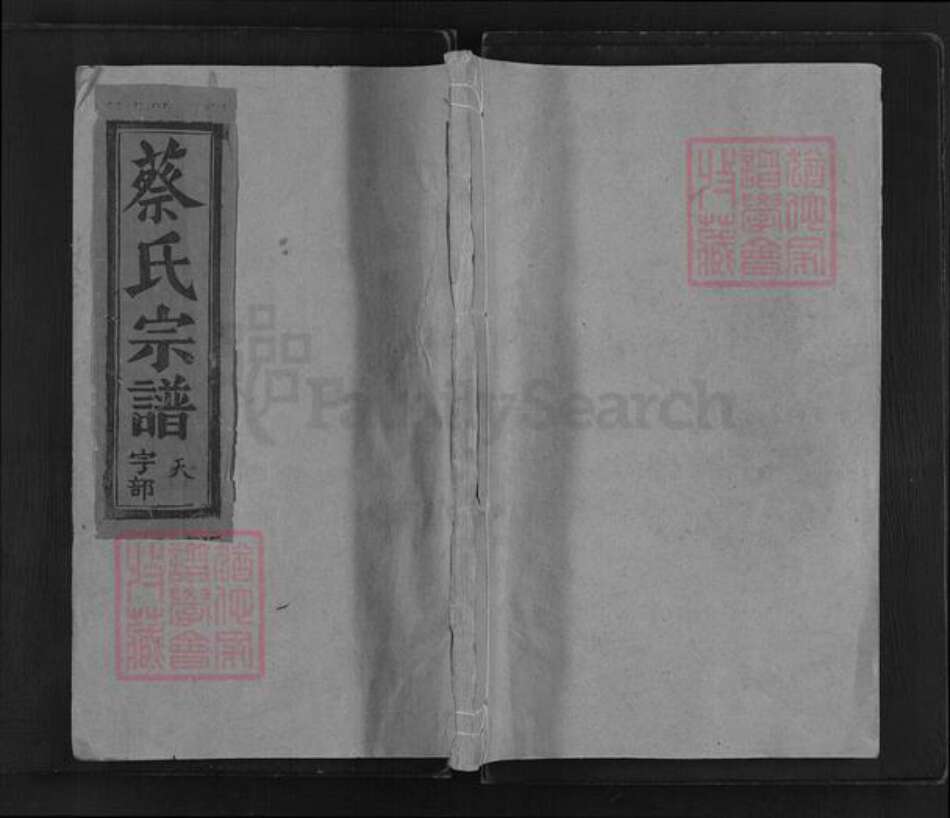 江西省上饶市广丰区枧底镇蔡氏族谱-蔡氏宗谱.pdf电子版缩略图