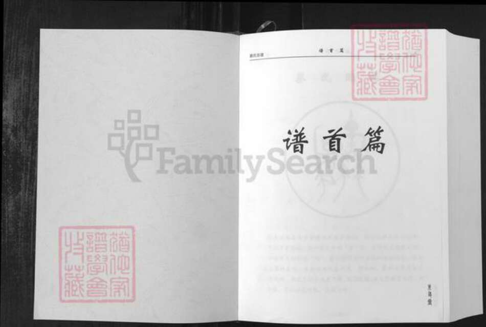 湖北省武汉市新洲区蔡氏朱友堂族谱-蔡氏宗谱.pdf电子版预览图1