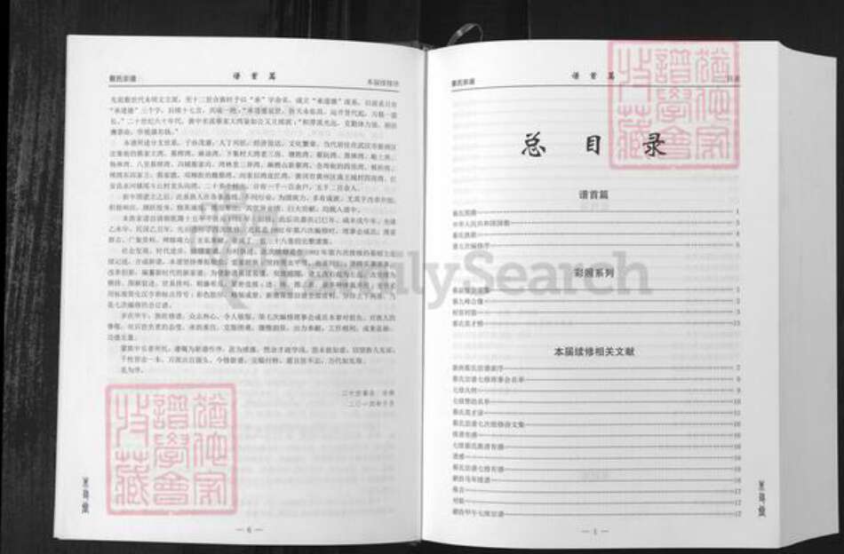 湖北省武汉市新洲区蔡氏朱友堂族谱-蔡氏宗谱.pdf电子版预览图5