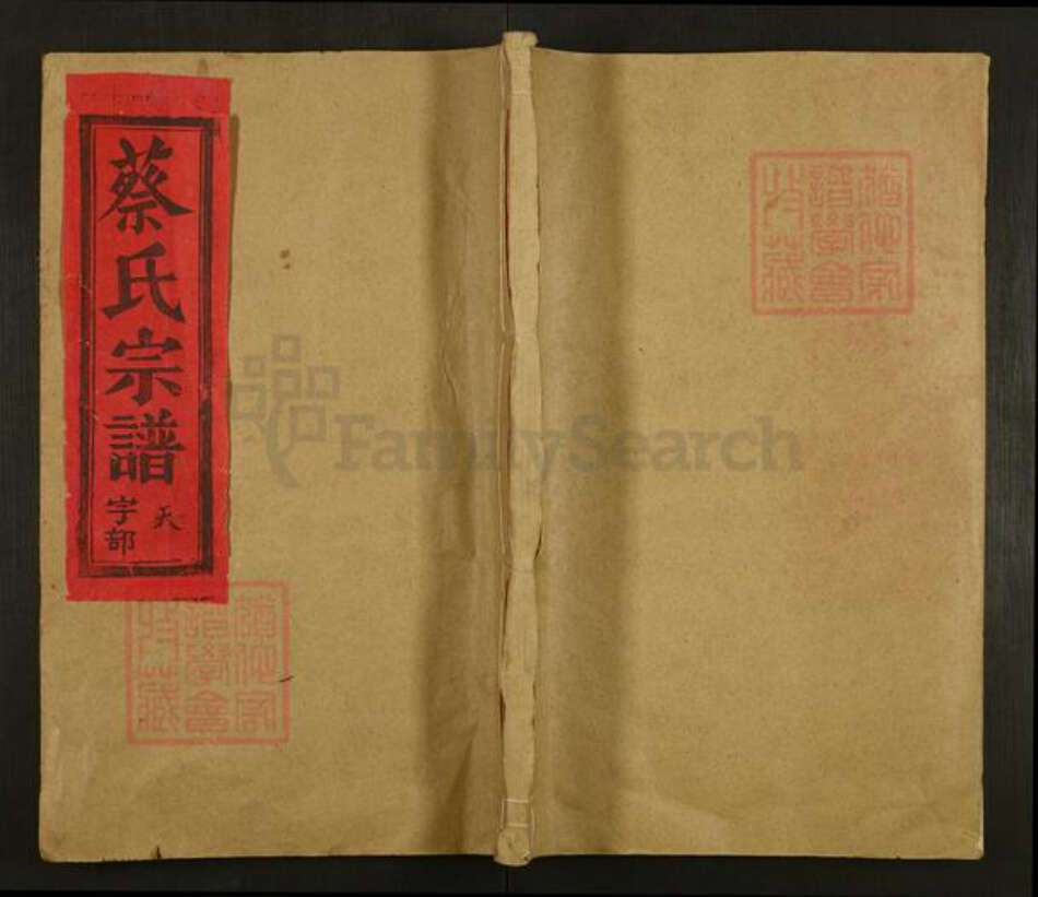 江西省上饶市广丰区枧底镇蔡氏族谱-蔡氏宗谱.pdf电子版缩略图