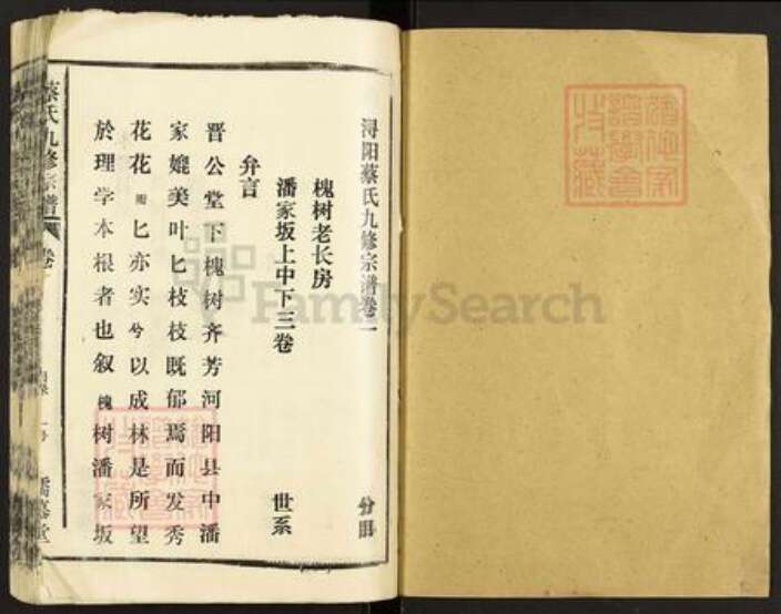 江西省九江市德安县聂桥镇蔡氏孺慕堂族谱-蔡氏九修宗谱.pdf电子版预览图1