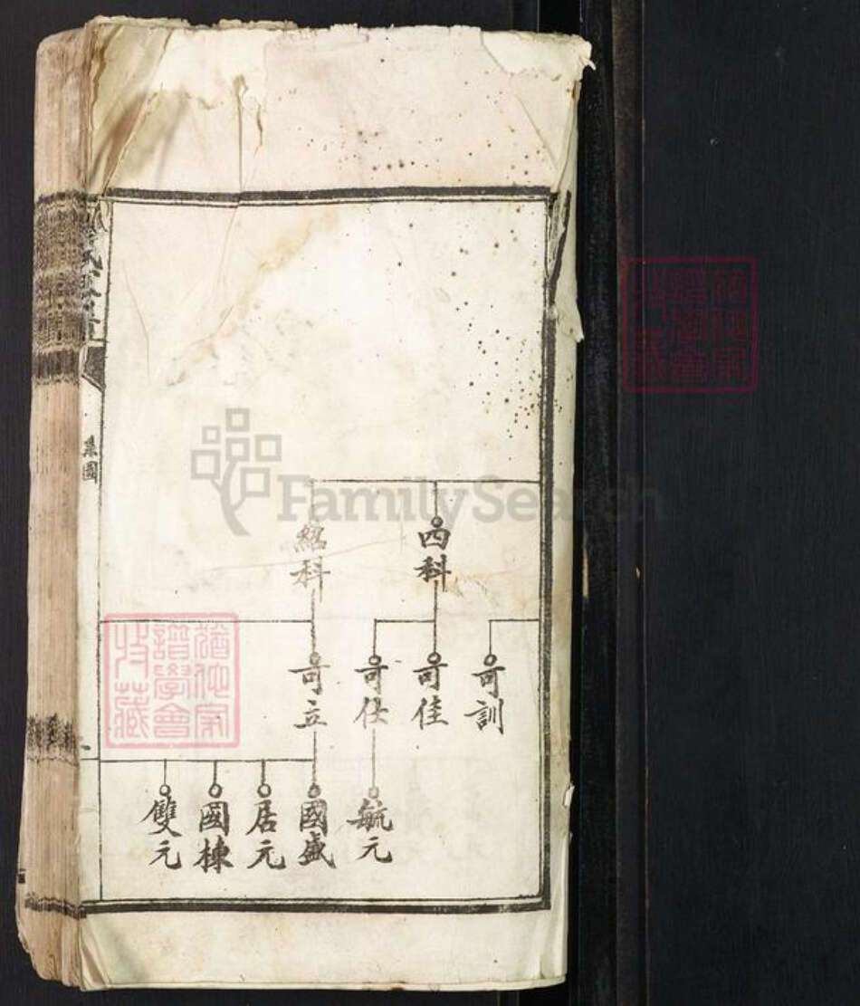 江西省赣州市于都县蔡氏族谱-蔡氏家谱.pdf电子版预览图1