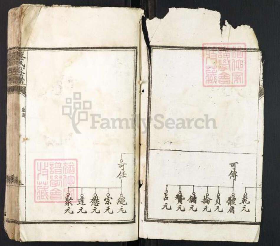 江西省赣州市于都县蔡氏族谱-蔡氏家谱.pdf电子版预览图2