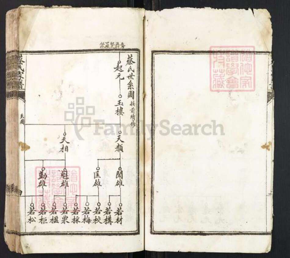 江西省赣州市于都县蔡氏族谱-蔡氏家谱.pdf电子版预览图3