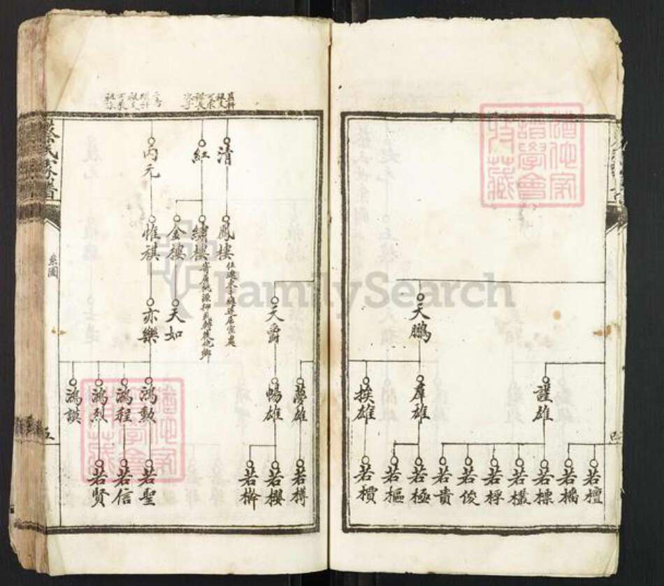 江西省赣州市于都县蔡氏族谱-蔡氏家谱.pdf电子版预览图4