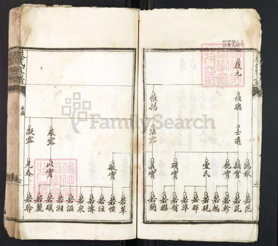 江西省赣州市于都县蔡氏族谱-蔡氏家谱.pdf电子版预览图5