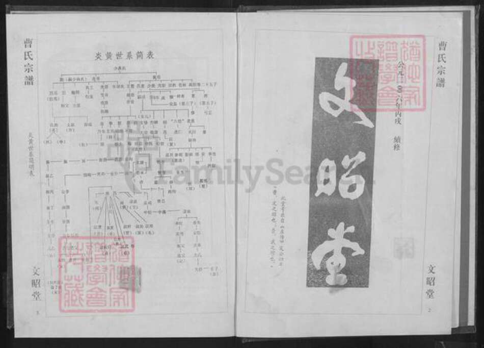 湖北省黄石市大冶市曹氏文昭堂族谱-曹氏宗谱.pdf电子版预览图2