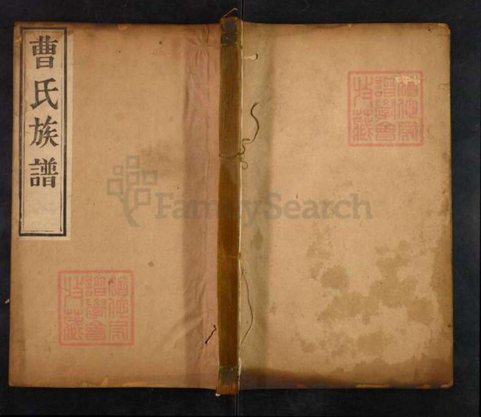 山东省曹氏大公堂族谱-曹氏族谱.pdf电子版缩略图