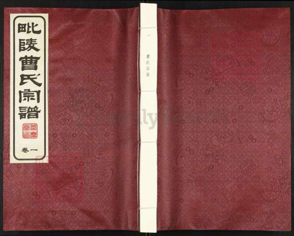 江苏省常州市武进县曹氏善庆堂族谱-毘陵曹氏宗谱.pdf电子版缩略图