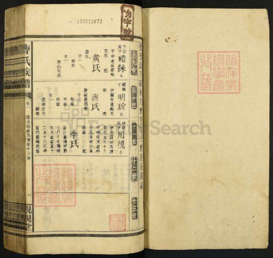 曹氏亲亲堂族谱-曹氏族谱.pdf电子版预览图1