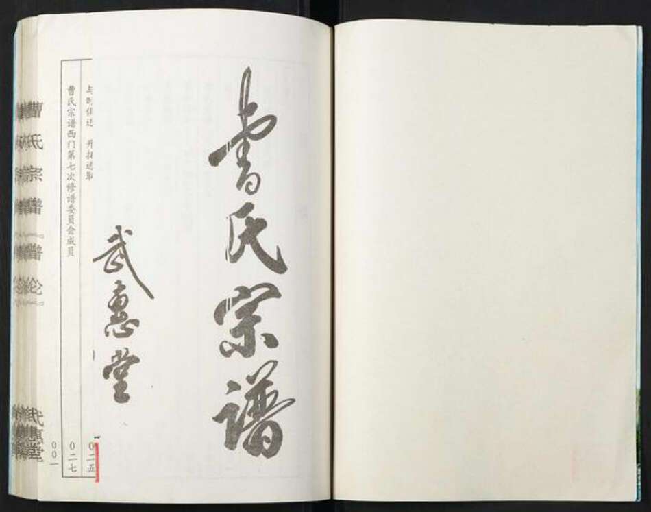 江苏省盐城市阜宁县曹氏族谱-曹氏宗谱.pdf电子版预览图1