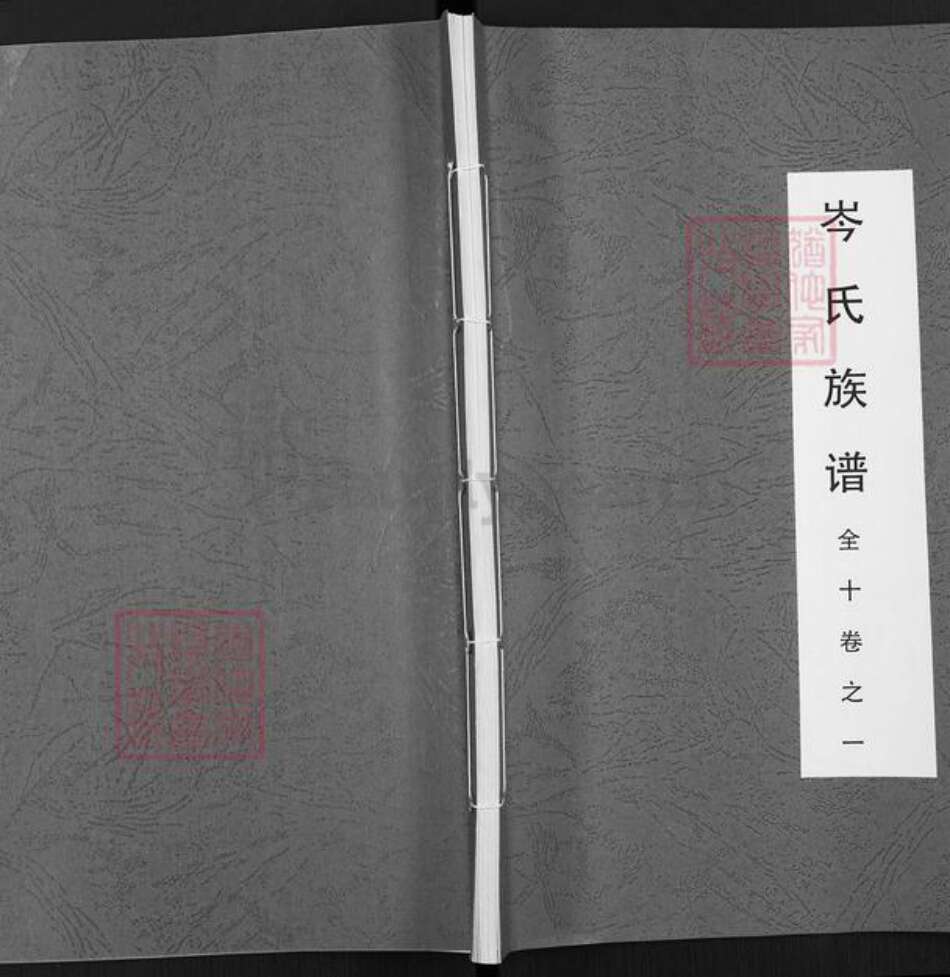 广西壮族自治区岑氏族谱-岑氏族谱.pdf电子版