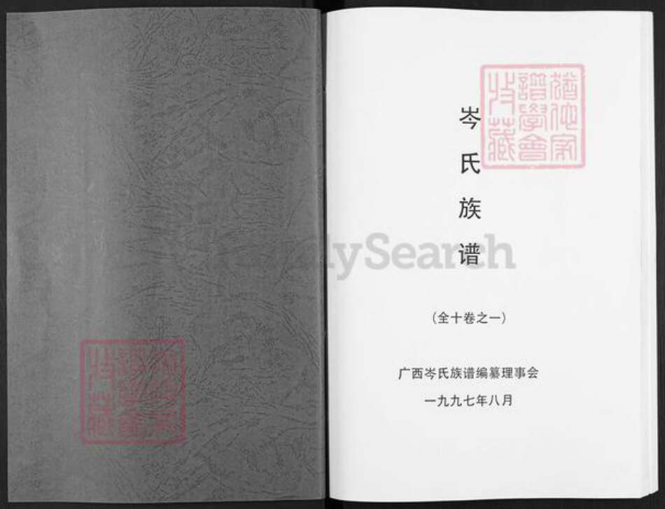 广西壮族自治区岑氏族谱-岑氏族谱.pdf电子版预览图1