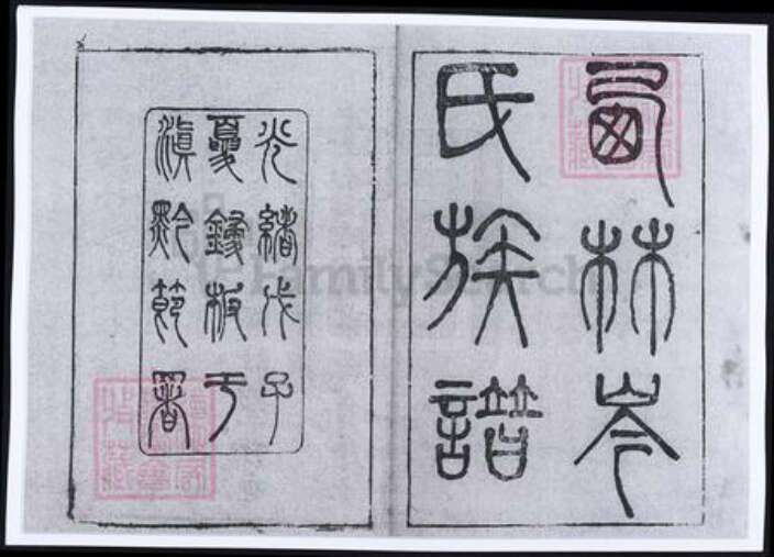 广西壮族自治区百色市隆林各族自治县岑氏族谱-广西西林岑氏族谱.pdf电子版预览图1