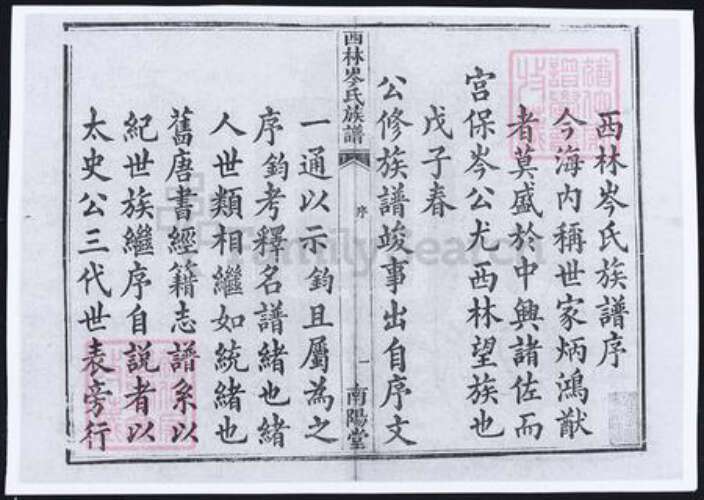 广西壮族自治区百色市隆林各族自治县岑氏族谱-广西西林岑氏族谱.pdf电子版预览图2