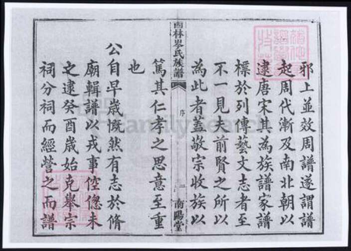 广西壮族自治区百色市隆林各族自治县岑氏族谱-广西西林岑氏族谱.pdf电子版预览图3