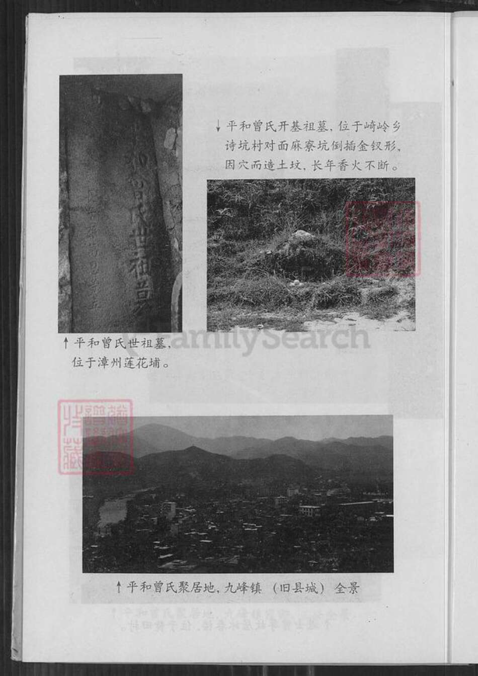 福建省漳州市平和县霞寨镇曾氏族谱-武城曾氏族谱.pdf电子版预览图4