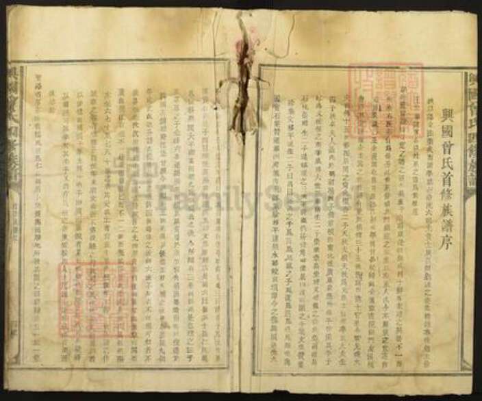 江西省赣州市兴国县方太乡曾氏族谱-兴国曾氏四修族谱.pdf电子版预览图4