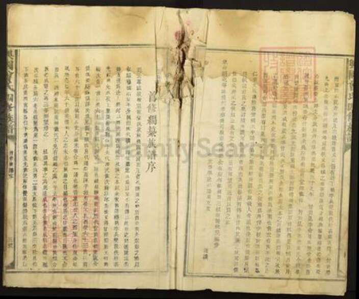 江西省赣州市兴国县方太乡曾氏族谱-兴国曾氏四修族谱.pdf电子版预览图5