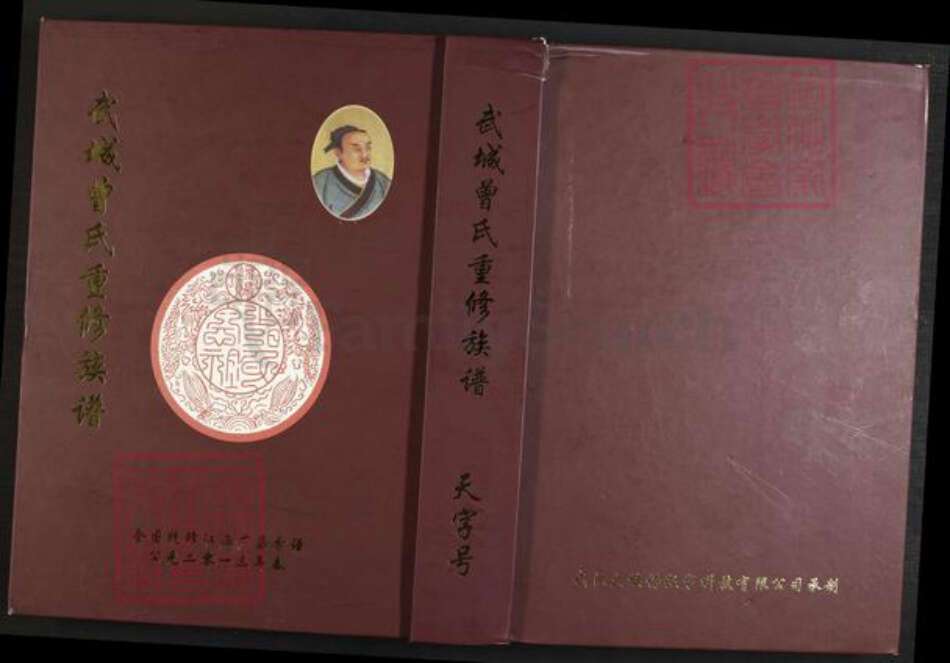 江西省抚州市广昌县头陂镇曾氏族谱-武城曾氏重修族谱.pdf电子版缩略图