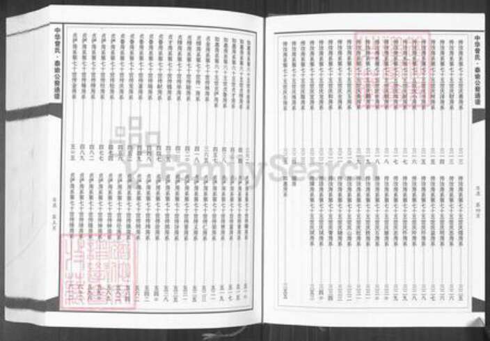 湖南省娄底市新化县孟公镇曾氏族谱-中华曾氏.泰谕公裔通谱.pdf电子版预览图5