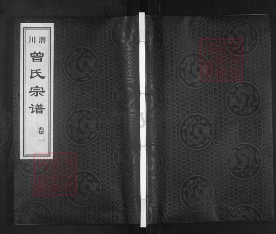 安徽省合肥市庐江县曾氏三省堂族谱-潜川曾氏宗谱.pdf电子版缩略图