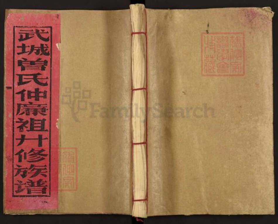 江西省赣州市南康区东山街道曾氏族谱-城东武城曾氏仲廉二十修族谱.pdf电子版缩略图