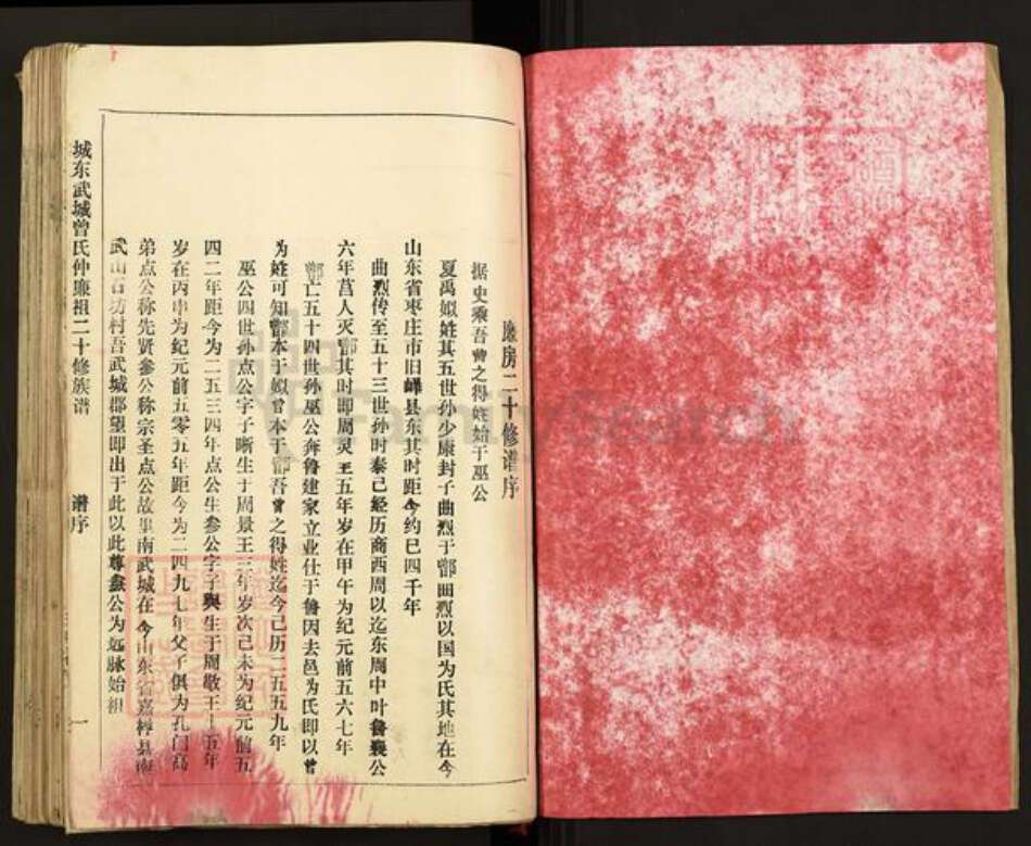 江西省赣州市南康区东山街道曾氏族谱-城东武城曾氏仲廉二十修族谱.pdf电子版预览图2