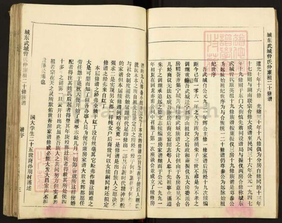 江西省赣州市南康区东山街道曾氏族谱-城东武城曾氏仲廉二十修族谱.pdf电子版预览图4