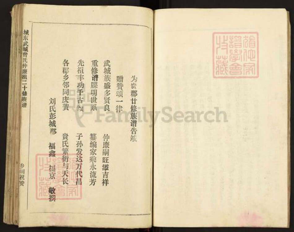 江西省赣州市南康区东山街道曾氏族谱-城东武城曾氏仲廉二十修族谱.pdf电子版预览图5