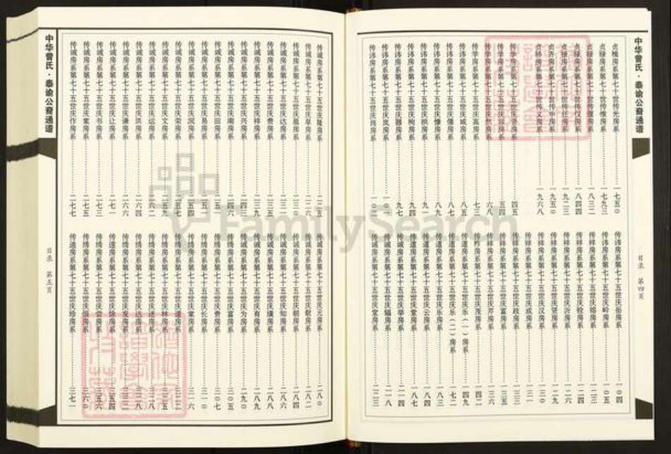 湖南省娄底市新化县孟公镇曾氏族谱-中华曾氏泰谕公裔通谱.pdf电子版预览图5