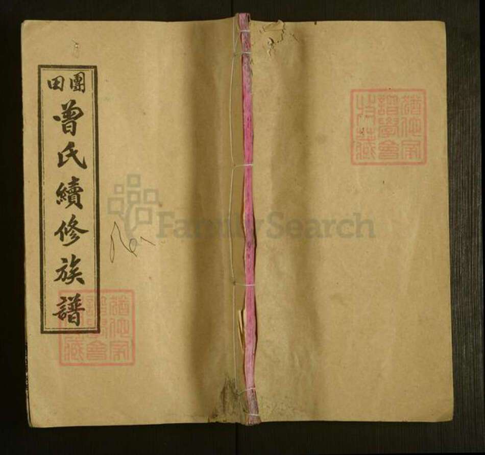 湖南省湘潭市韶山市杨林乡曾氏武城堂族谱-团田曾氏续修族谱.pdf电子版缩略图