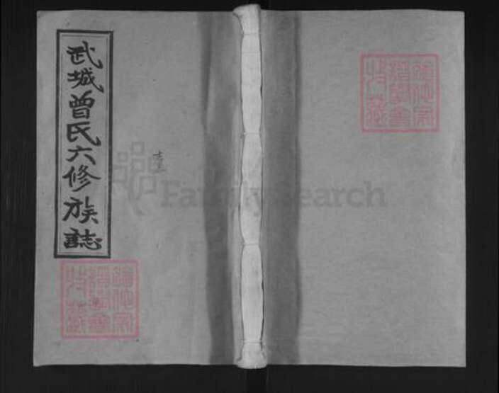 湖南省邵阳市邵东曾氏养志堂族谱-武城曾氏六修族志.pdf电子版缩略图